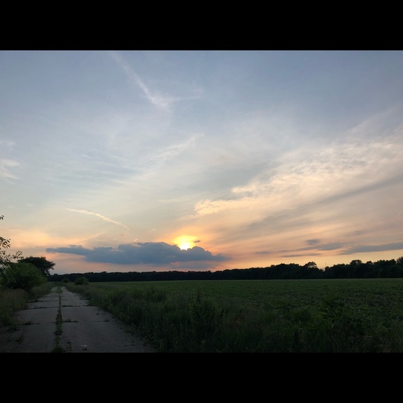 maddiebear519